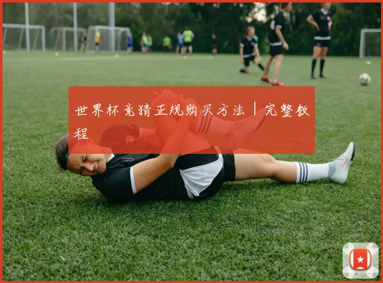 世界杯竞猜正规购买方法|完整教程