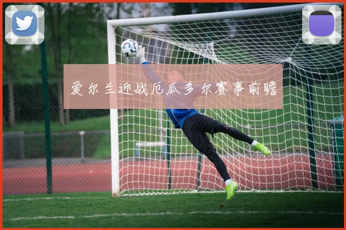 爱尔兰迎战厄瓜多尔赛事前瞻