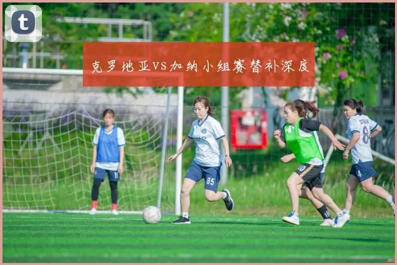 克罗地亚vs加纳小组赛替补深度