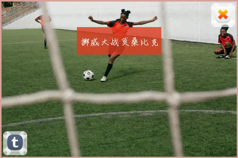 挪威大战莫桑比克