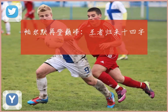 帕尔默再登巅峰：王者归来十四字