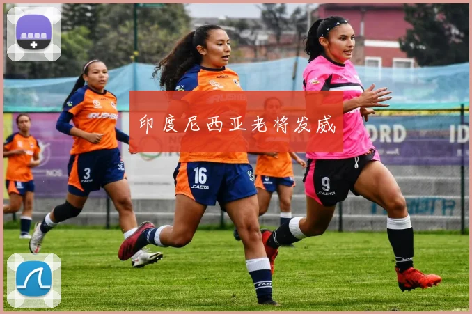 印度尼西亚老将发威
