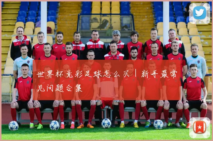 世界杯竞彩足球怎么买|新手最常见问题合集