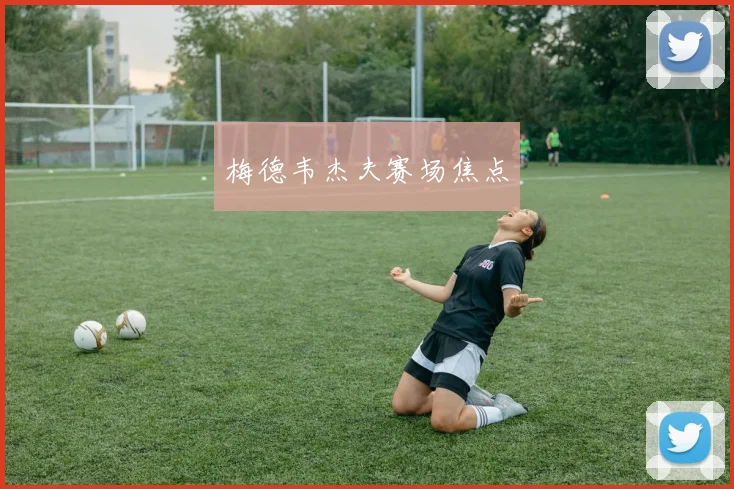 梅德韦杰夫赛场焦点