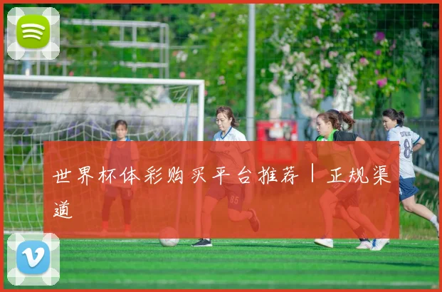 世界杯体彩购买平台推荐｜正规渠道