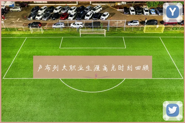 卢布列夫职业生涯高光时刻回顾