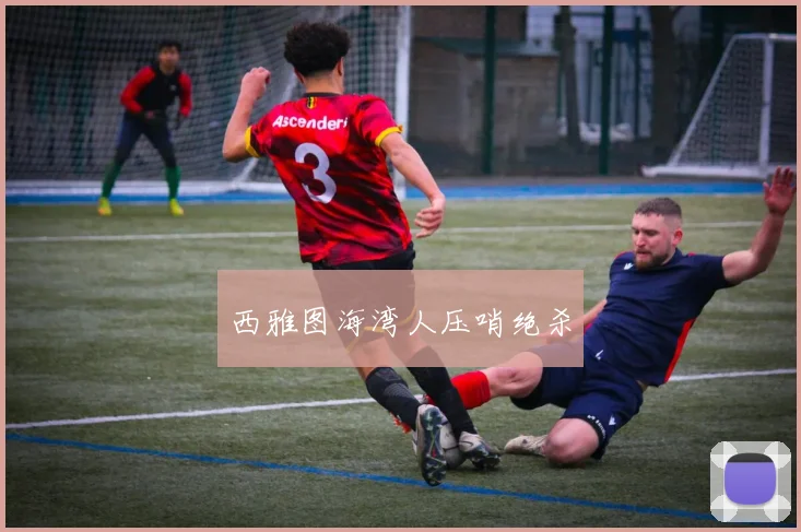西雅图海湾人压哨绝杀