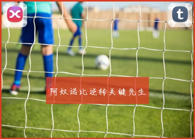 阿奴诺比逆转关键先生