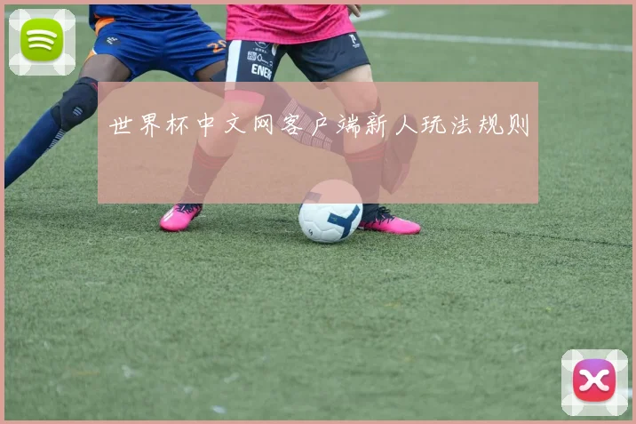 世界杯中文网客户端新人玩法规则