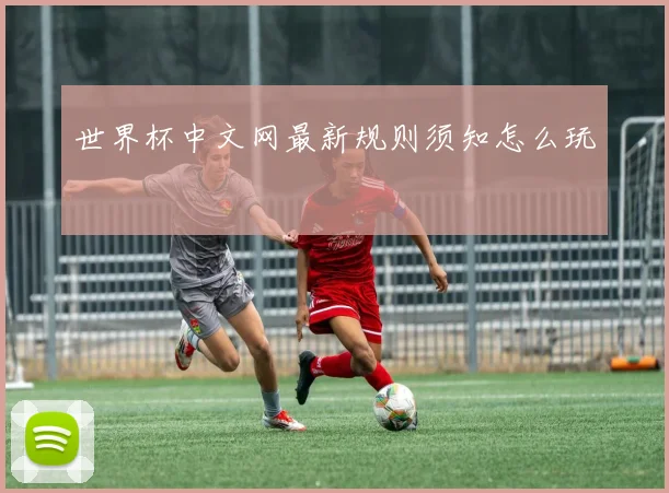 世界杯中文网最新规则须知怎么玩