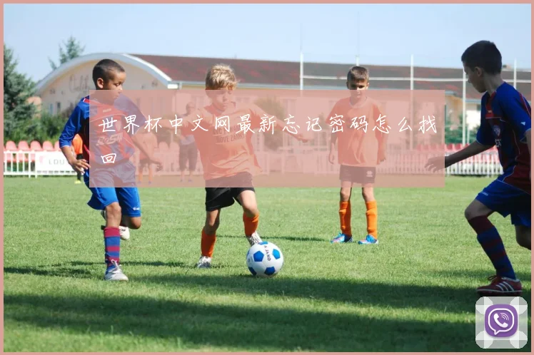 世界杯中文网最新忘记密码怎么找回