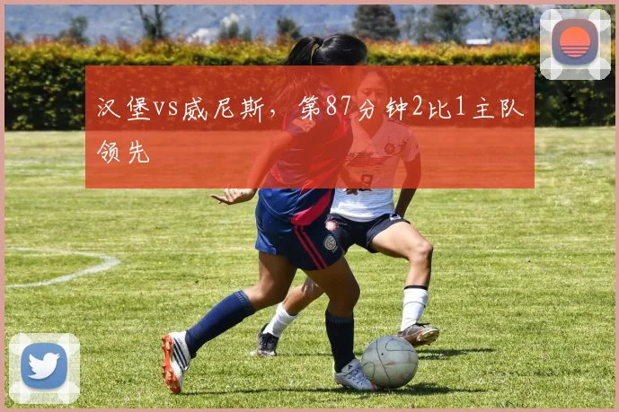 汉堡vs威尼斯，第87分钟2比1主队领先